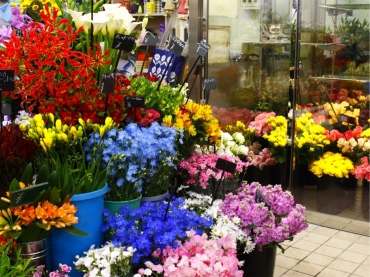 「いなば生花店」　（石川県金沢市）の花屋店舗写真3